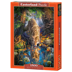 Castorland Wolf in the Wild Jigsaw puzzle 1500 pc(s) Animals