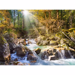Castorland The forest stream 2000 pcs Jigsaw puzzle 2000 pc(s) Landscape