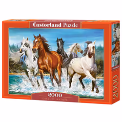 Castorland Call of Nature 2000 pcs, 2000 pc(s), Animals, 9 yr(s)