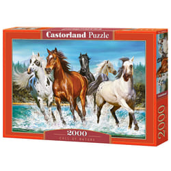Castorland Call of Nature 2000 pcs Jigsaw puzzle 2000 pc(s) Animals