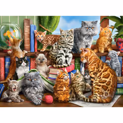 Castorland House of Cats, 2000 pc(s), Animals, 9 yr(s)