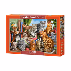 Castorland House of Cats Jigsaw puzzle 2000 pc(s) Animals