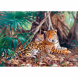 Castorland Jaguars in the jungle (limited distribution!) 3000 pcs Jigsaw puzzle 3000 pc(s) Fauna