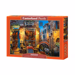 Castorland Our special place in Venice 3000 pcs, 3000 pc(s), City, 9 yr(s)