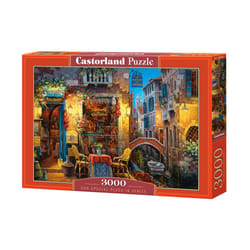 Castorland Our special place in Venice 3000 pcs Jigsaw puzzle 3000 pc(s) City