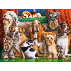 Castorland Dog Club, 3000 pc(s), Animals, 9 yr(s)