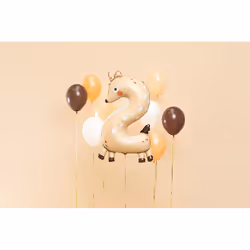PartyDeco FB163-2 party decoration Toy balloon