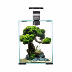 AquaEl Shrimp Set Day and Night - 30L, Black