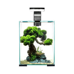 AquaEl Shrimp Set Day and Night - 30L, Black