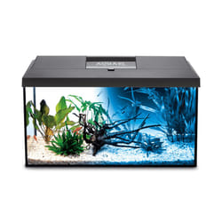 AquaEl Leddy 60 Day & Night Aquarium Kit - AquaEl Leddy 60 Day & Night Aquarium Kit - Black