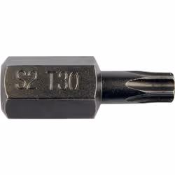 Screwdriver Bit; HST