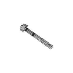 Rawlplug RAWRXPT20160 R-XPT Plated Throughbolt M20 x 160mm