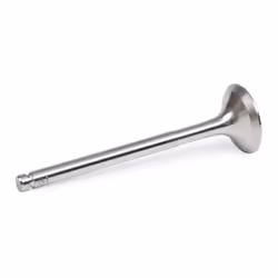 AMP POPE014-A-0-D Exhaust Valve 30.6