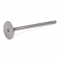 AMP PBMW019-A-0-N Exhaust Valve 30,5