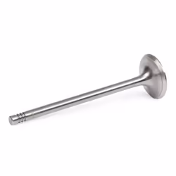 AMP PBMW019-A-0-N Exhaust Valve 30,5