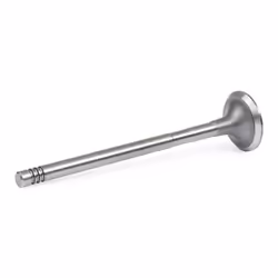 AMP PFOR131-A-0-N Exhaust Valve 24 Exhaust Side FORD: FIESTA 6, C-Max, MONDEO 4