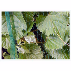 Bradas AS-BN10191940020 garden fencing/screening