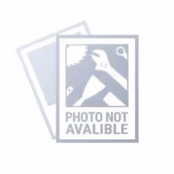 NEO tools 99-030, 1 pc(s)