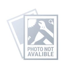 NEO tools 99-030 outdoor lighting