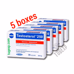 5 Testosterol 250 x 30 Cap Muscle Building Testosterone Power Anabolic