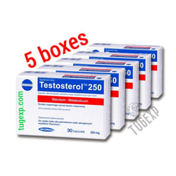 5 Testosterol 250 x 30 Cap Muscle Building Testosterone Power Anabolic