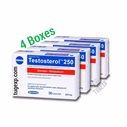 4 x Testosterol 250 x 30 Capsules Muscle Building Power Anabolic