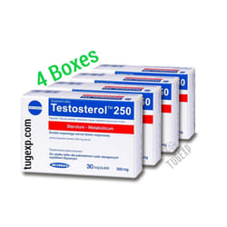 4 x Testosterol 250 x 30 Capsules Muscle Building Power Anabolic