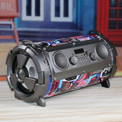 Omega OG72P portable/party speaker