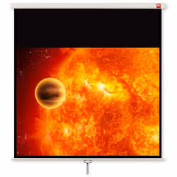 Avtek International Video 200, Manual, 195 cm, 146.5 cm, 4:3, Black, White