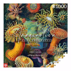 Cenega Imagination, 1000 pc(s), Art