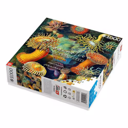 Cenega Imagination Jigsaw puzzle 1000 pc(s) Art