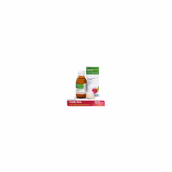 Levofree syrup from 2 years, 120 ml