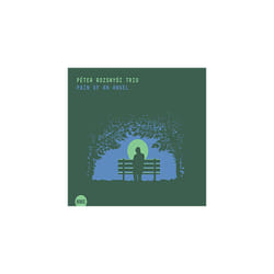 Peter Rozsnyoi Trio  Pain of an Angel CD (2016)