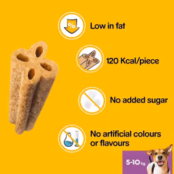 Pedigree Dentastix Advanced, Dental Care Chews for Small Dogs 5-10 kg, 12 Sticks