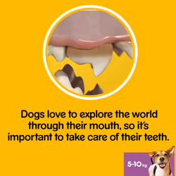 Pedigree Dentastix Dental Dog Treats Small Dog 105 Dog Chews Oral Teeth Cleaning - Additional view 5