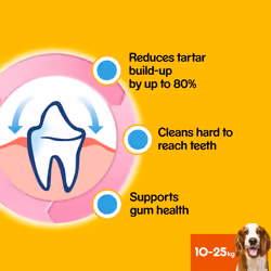 Pedigree Dentastix Dental Dog Treats Medium Dog 105 Dog Chews Teeth Cleaning - Additional view 10