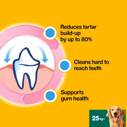 Pedigree Dentastix Dental Dog Treats Large Dog 105 Dog Chews Oral Teeth Cleaning