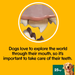 Pedigree Dentastix Dental Dog Treats Large Dog 105 Dog Chews Oral Teeth Cleaning - Additional view 4