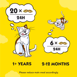 8 x 60g Dreamies Cat Treats Biscuits Catnip Flavour with Vitamins & Minerals - Additional view 5