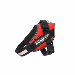 Julius-K9 IDC, Dog, XL, Black, Red, 115 cm, 82 cm