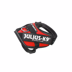 Julius-K9 IDC XL Black, Red Dog