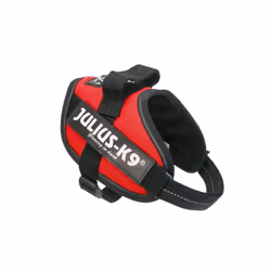 Julius-K9 IDC XL Black, Red Dog