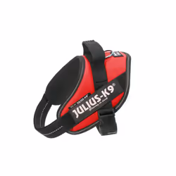 Julius-K9 IDC XL Black, Red Dog - Additional view 5