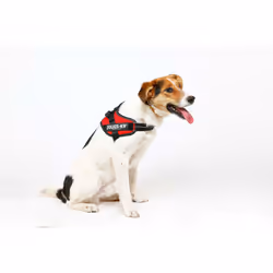 TRIXIE 14823 dog/cat harness XS