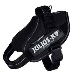 Julius-K9 14831 dog/cat harness Mini/M Black Vest harness