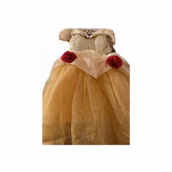 Beauty and the Beast Princess Fancy dress costume for girls size 3
