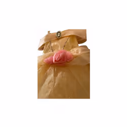 Beauty and the Beast Princess  Fancy dress costume for girls size 13