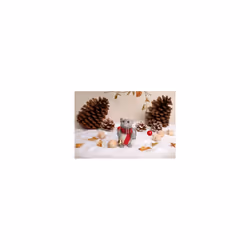 Dormouse Simply Make Felting Craft Kit