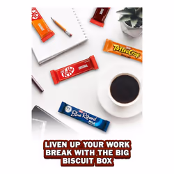 Nestle Big Biscuit Box Kitkat & Friends 69 Bars