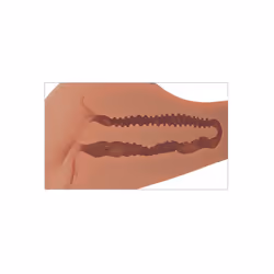 PDX Plus 360 Hyper Realistic Banger Masturbator Flesh Tan